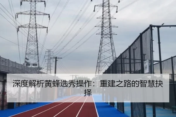 深度解析黄蜂选秀操作：重建之路的智慧抉择